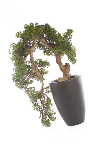 Sztuczne drzewko Modrzew Bonsai Larch Han-Kengai 90 cm