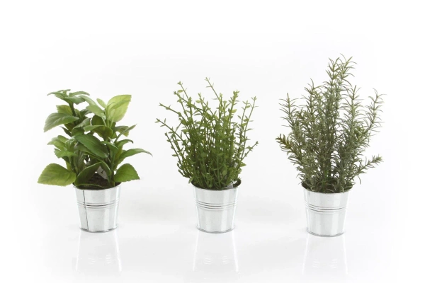 Sztuczny rozmaryn w cynkowej doniczce 23-26 cm zioła