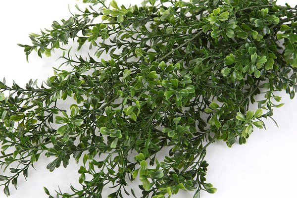 Sztuczny bukszpan wiszący pnącze 75 cm