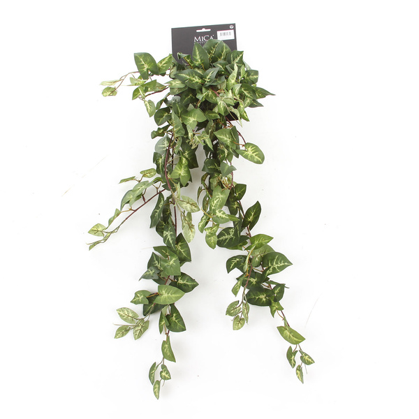 Sztuczna Fittonia Fitonia wisząca pnącze 80 cm