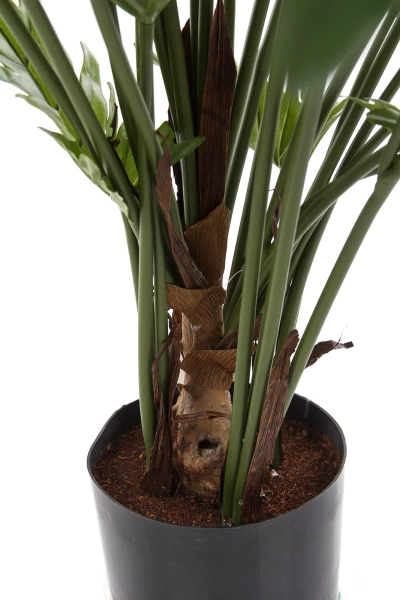 Sztuczny filodendron Xanadu 80 cm