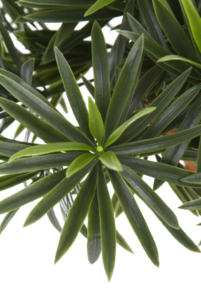 Sztuczny Bonsai Podocarpus 65 cm UV