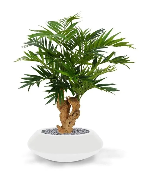 Sztuczna Palma Chamedora na drewnianym pniu 65 cm