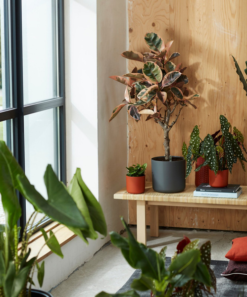 B. For Soft Round 25 cylindryczna doniczka grafitowa