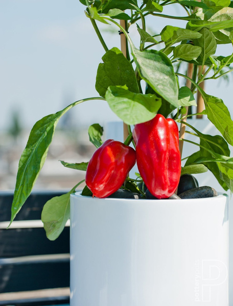 Puk L 25/25 cylindryczna donica z włókna szklanego biała z połyskiem