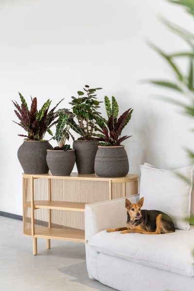 Zeus L 69/58 duża donica antyczna umber brown