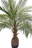 Sztuczna Palma gruby pień 150 cm Weatherproof UV