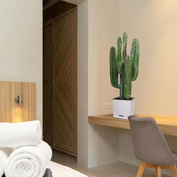 Sztuczny Kaktus Euphorbia 76 cm w doniczce