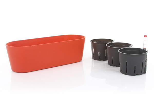 Zestaw do hydroponiki 11/9 w pomarańczowej osłonce podłużnej Flori 36x14/11