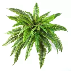 Sztuczna paproć Boston 80 cm