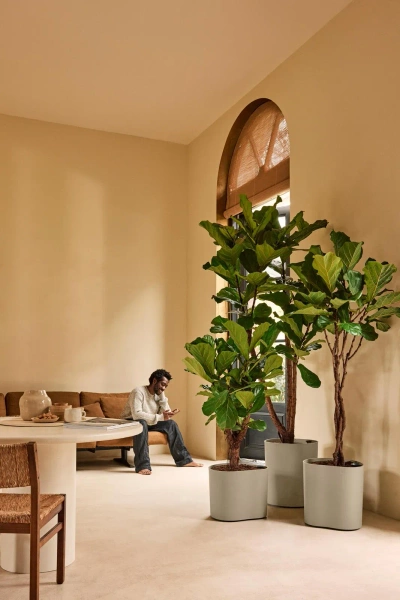 Eden Aquacare Medium 40 designerska donica soft taupe system samonawadniający