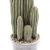 Sztuczny Kaktus San Pedro 57 cm w szarej doniczce