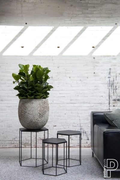 Gillard S 45/45 kulista osłonka naturalna biel cesarska imperial white