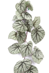 Sztuczna Begonia szara wisząca 110 cm