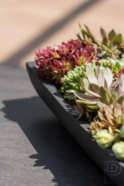 Pandora S 50x19/7 kamienna prostokątna misa szara