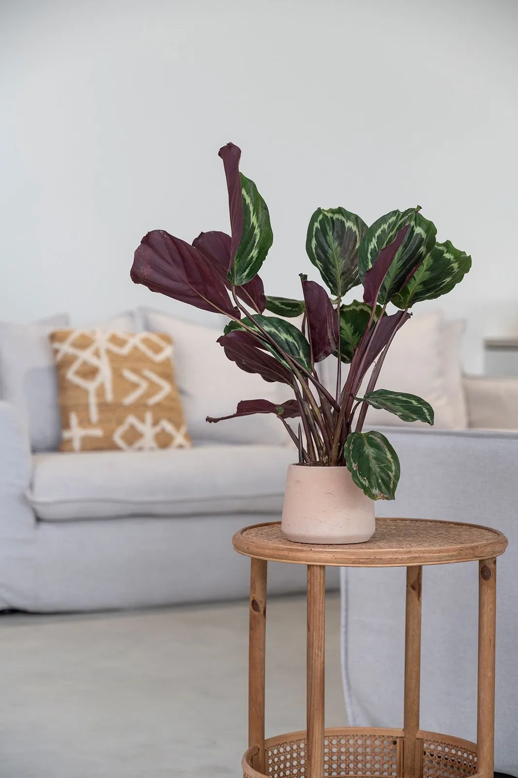 Osłonka Patt XL w kolorze gliny na stoliku z rośliną