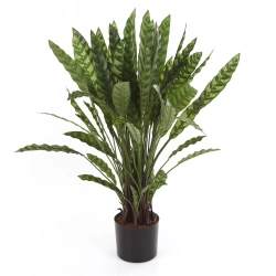 Sztuczna Kalatea lancetolistna 84 cm