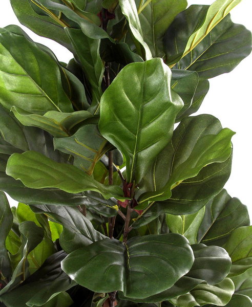 Sztuczny Fikus Lyrata dębolistny 130 cm