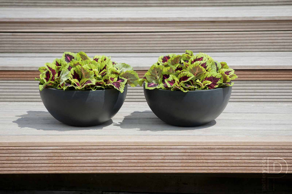 Vic Bowl S 38,5/18 osłonka misa szara kamienna