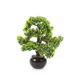 Sztuczne drzewko Bonsai Modrzew Larch 60x50 cm w ceramicznej doniczce