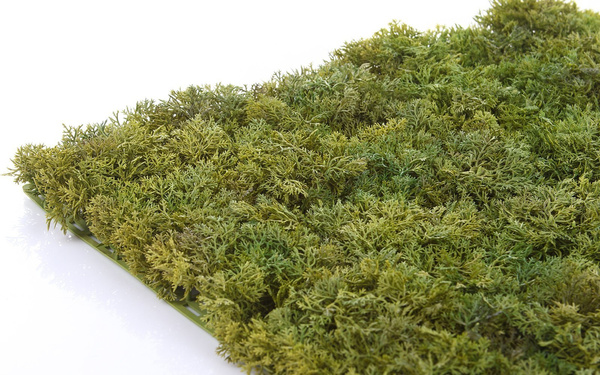 Sztuczna zielona ściana mata mech Islandzki 50x50 trudnopalna FR UV