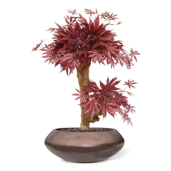 Sztuczny Klon Bonsai 60 cm burgundy