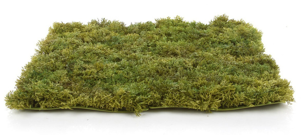 Sztuczna zielona ściana mata mech Islandzki 50x50 trudnopalna FR UV