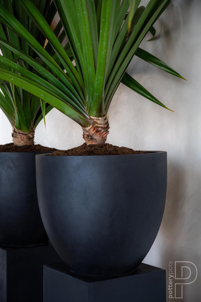 Jesslyn S 50/44 czarna kamienna donica