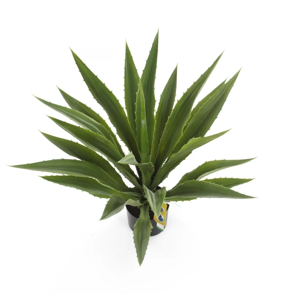 Sztuczna Agawa 70 cm zielona Weatherproof UV