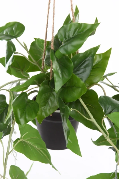 Sztuczny Filodendron Scandens wiszący 80 cm w doniczce