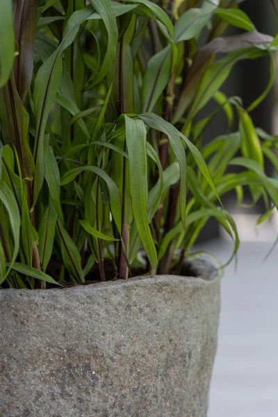 Mt.Verita S 55x23/21 podłużna donica szarobrązowa dioriet grey