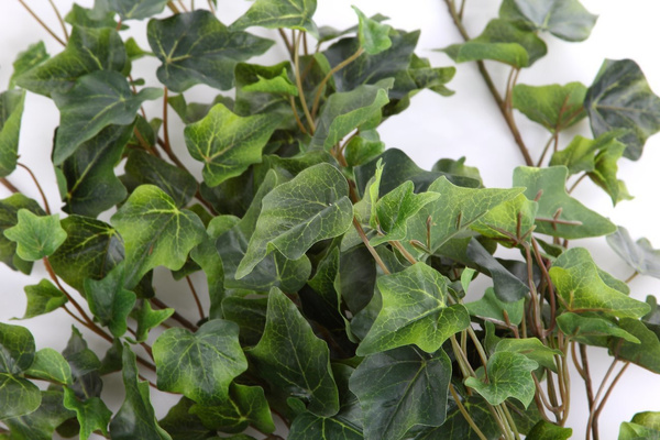 Sztuczny Bluszcz zielony pnącze 100 cm