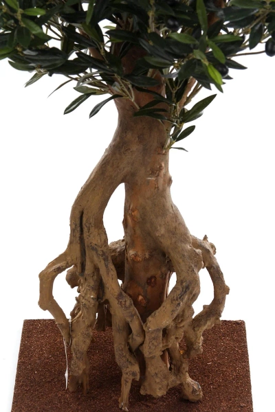 Sztuczna Oliwka Bonsai 150 cm deluxe