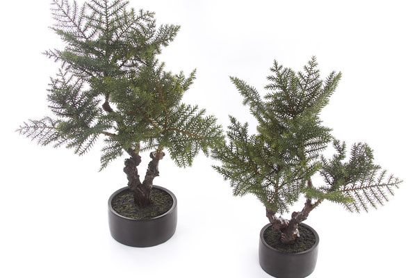 Sztuczny bonsai jodła 73 cm