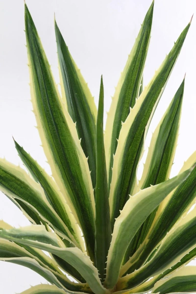 Sztuczna Agawa 70 cm zielono-żółta Weatherproof UV