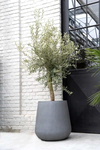 Pax XL 66/67 duża donica szara