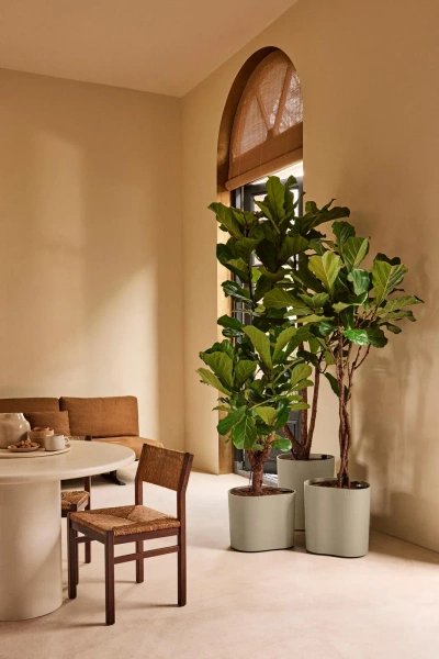 Eden Aquacare Medium 40 designerska donica soft taupe system samonawadniający