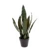 Sztuczna Sansewieria 50 cm zielona