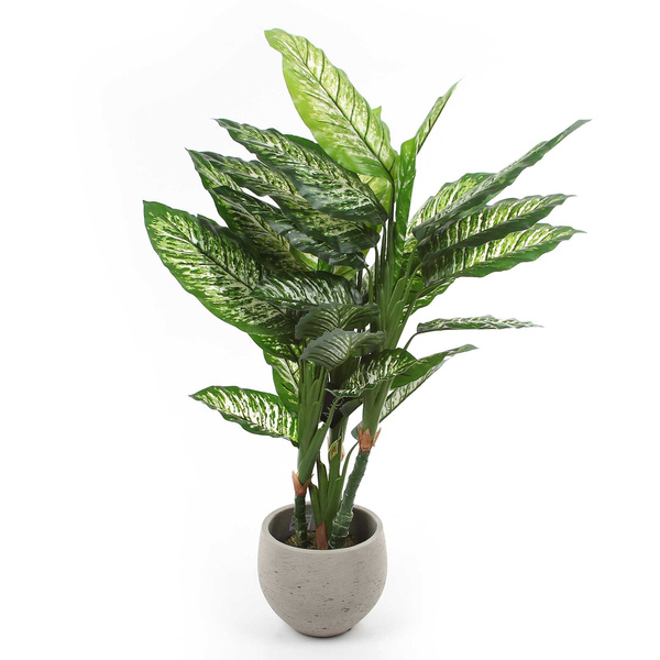 Sztuczna Difenbachia 120 cm duże kolorowe liście