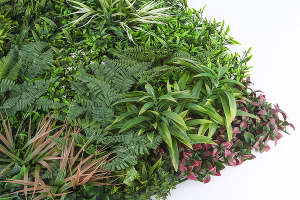 Mata Zielona Ściana panel z liści PREMIUM 100x100 cm