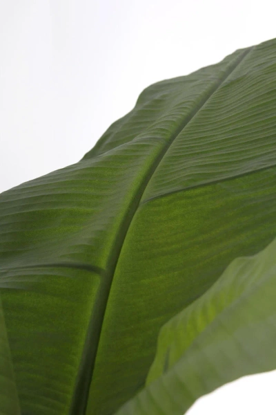 Sztuczny Bananowiec 165 cm