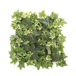 Sztuczna zielona ściana mata Bluszcz 30x30 jasnozielony