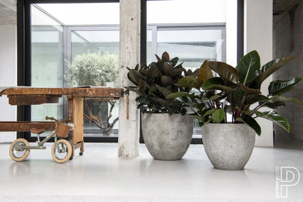 Bernd S 33/37 naturalna osłonka cesarska biel imperial white