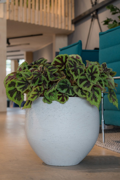 Orb M 48/43 duża donica kulista okrągła szara