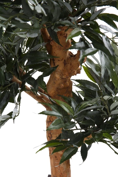 Sztuczny Bonsai Shirakashi 80 cm