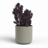Juno 18/18 ceramiczna osłonka walec taupe