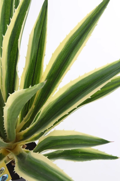 Sztuczna Agawa 70 cm zielono-żółta Weatherproof UV