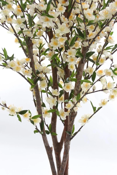 Sztuczna Wiśnia 170 cm kremowa