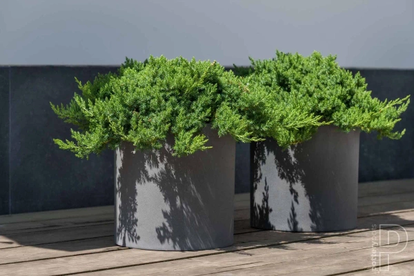 Max L 50/50 duża donica cylindryczna kamienna taupe