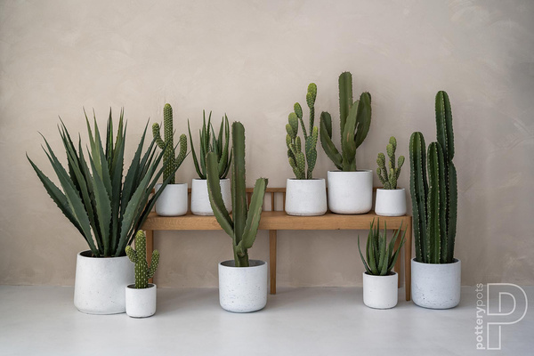 Sztuczny kaktus Saguaro Karnegia S 41 cm